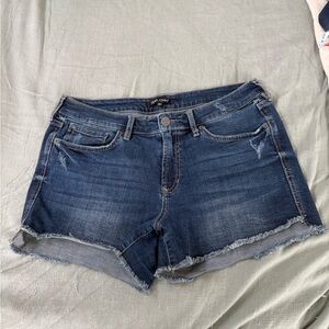 Dear John Blue Jean Shorts Frayed Hem Mid-Rise